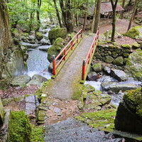 ランニング記録 2025年9月　月間300 km目前
