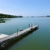 浜ちゃんの散歩道（２８）　初夏日和の佐鳴湖公園を訪れて　