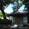 小田原市上曽我　須賀神社のクスノキ