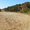 漁業無線局跡地からの風景