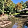 芹沢公園の池（神奈川県座間）