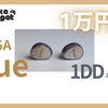 SIVGA Que　見た目、音質、価格良しの1万円クラスの最適解！？