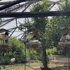 動物園にも旬がある