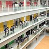 【高2】探究論文発表会を開催しました 