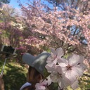 草丸の日常に。