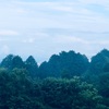 今朝の景色