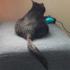 めるちゃん、ご機嫌直った⁈