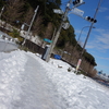 東京都内 積雪２７センチ ４５年ぶりの大雪でした