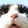 雪だるまが好きだ！
