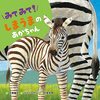 【絵本レビュー】みてみて!しまうまのあかちゃん【大塚健太】