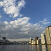 隅田川テラス5キロ：連日のなんちゃってインターバルに挑む