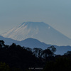 富士山の初冠雪を多摩川河川敷から見る