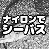 横浜湾奥オカッパリシーバスはナイロンラインで問題ないのではという話