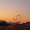 八ヶ岳