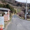 峠走だったり10キロ走だったりみとちゃんだったり。