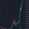 仮装通貨Ripple爆上げ！やはり握り続ける事が正解か？！