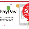 【PayPay】あの釣具もさらに1000円offで買えるかもしれないという話。