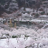 未明の降雪・3月の雪景色（2024.03.08）