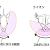 良質な情報を得るためものポイントとは