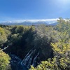 秋の北海道旅行④　美瑛の2大名所「青い池」＆「白ひげの滝」
