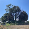 蛇喰古墳  深谷市岡