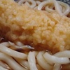 いか天ぷら　うどん