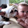 松原賢一郎☆子犬と赤ちゃんキス画像
