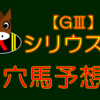 【GⅢ】シリウスS 結果