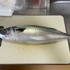 母と妹が遊びにきてた！HIJ