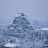 <span itemprop="headline">雪の名古屋城と猫一家</span>