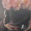 都会気分！？初めての7NOW✨🐶ひな祭りの衣装合わせ🐶