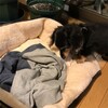 4億5千万をつかんだ男。
