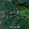 1183食目「今買うなら断然チヂミホウレンソウ」何故だか半値？＠福岡