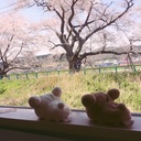 のんびり仙台。