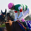 競馬初心者必見☆馬券予想🔥〜マイルCS〜海外からの刺客の評価は！？