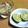 すだちのお酒と温奴の晩酌　より。