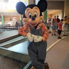 WDWひとり旅2019（ガーデングリル・レストラン） / Traveling Alone to Walt Disney World (Garden Grill Restaurant)
