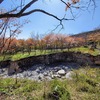 4月11日・男池から帰りに一番水の、さくらを見に行って来ました、ちょっと過ぎていました・最終回