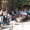 第12回海外山行、USA-CA　ヨセミテ　休養日