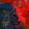 Kingfisher Sky - Skin Of The Earth