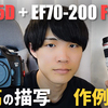 【作例紹介】Canon 5D 初代とEF70-200mm F4L IS USMの組み合わせが良すぎる！