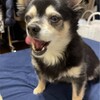 まろにー3853日目