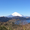 今年は富士山・・・
