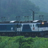 5463列車EF64-1000重連で運転