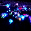 24, Winter color 1 … 2024 冬の花畑