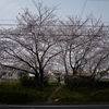 散歩日和