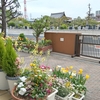 (巻四十四) 永き日や名もなき家事をひとつづつ(惣那早苗)