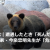 【まさにクマイシス？！……2／20－21　今後のクマの生息調査、環境省が都道府県に要請聞き取りへ】＃621