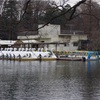 井の頭公園のわんちゃんもおしゃれだった問題