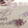 紫陽花･2025 Vol.2｜雨が似合う革花アクセサリーを求めて ピアス・イヤリング編